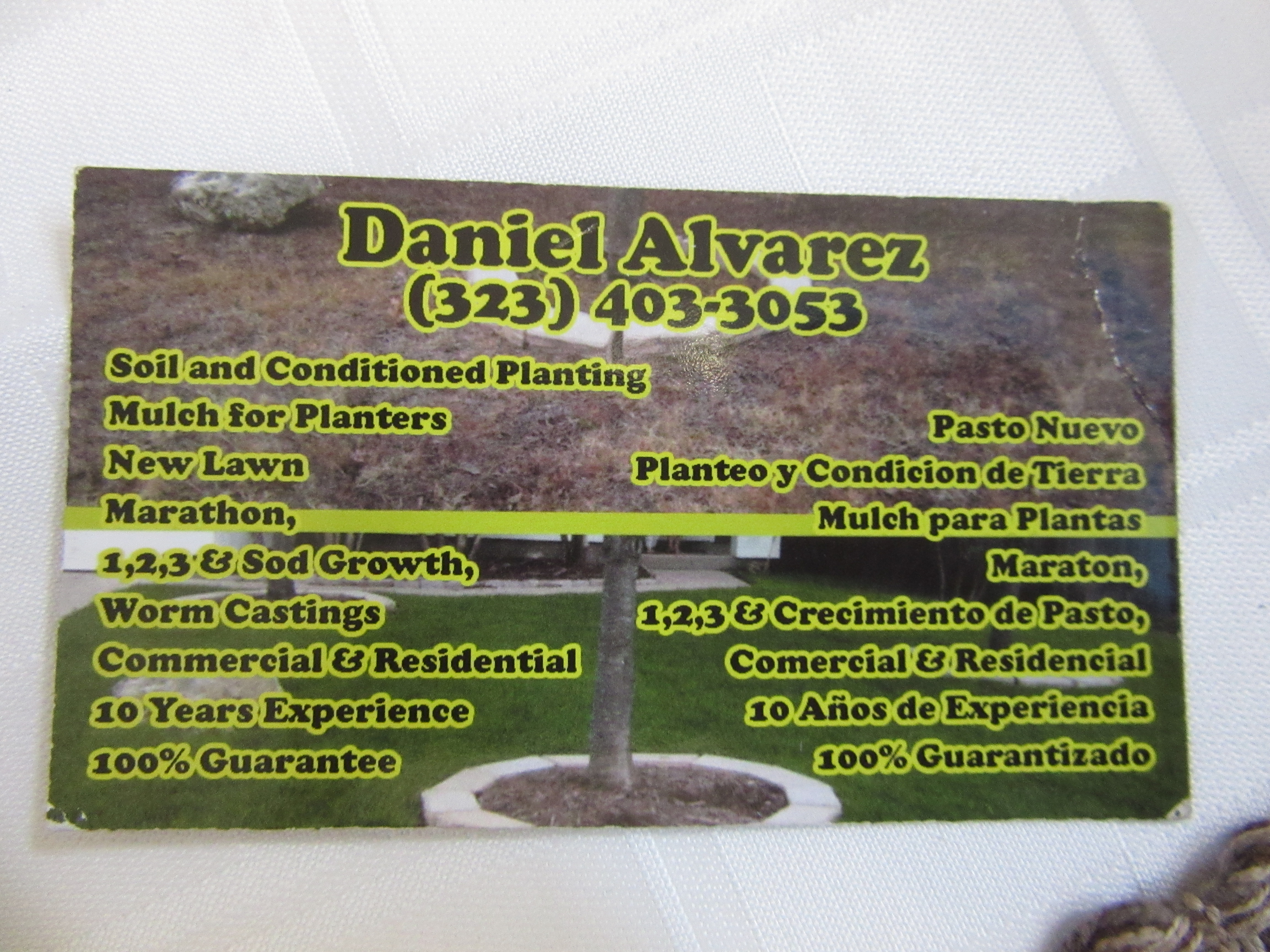 Business Card