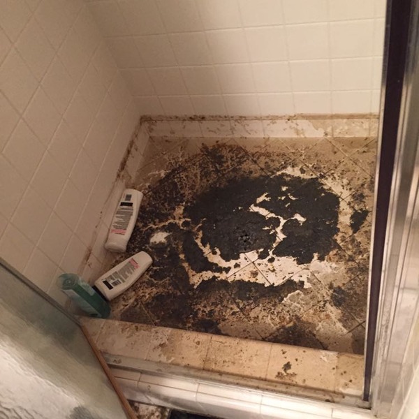 Backed up shower drain! Disgusting.