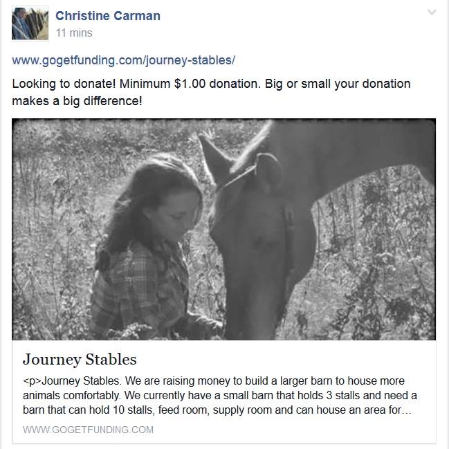Christine consistently tries to defraud the public by posting fraudulent fundraising for her NON EXISTENT animal rescue. 