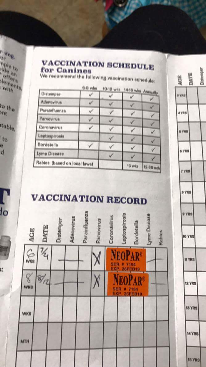 My puppy was sold to me by her at 14 weeks old and only given 2 sets of shots...should of had a rabies at 12 weeks but she uses a unfit nanny Jordin Duffy who uses her free services to fly for free be