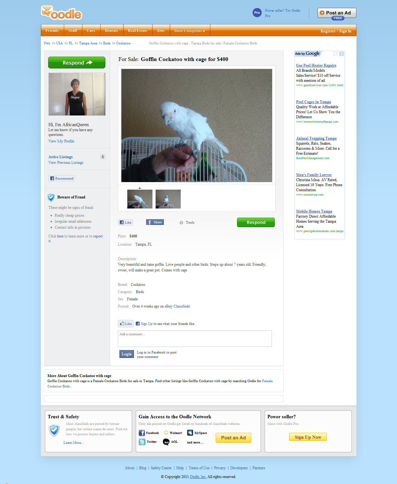 Is this your bird for sale by Florida Exotic Bird Sanctuary family member?
I was so sick when I saw this.