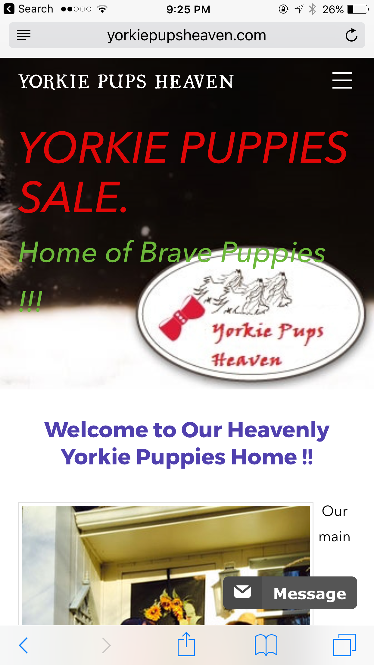 Website of Yorkiepupsheaven.com