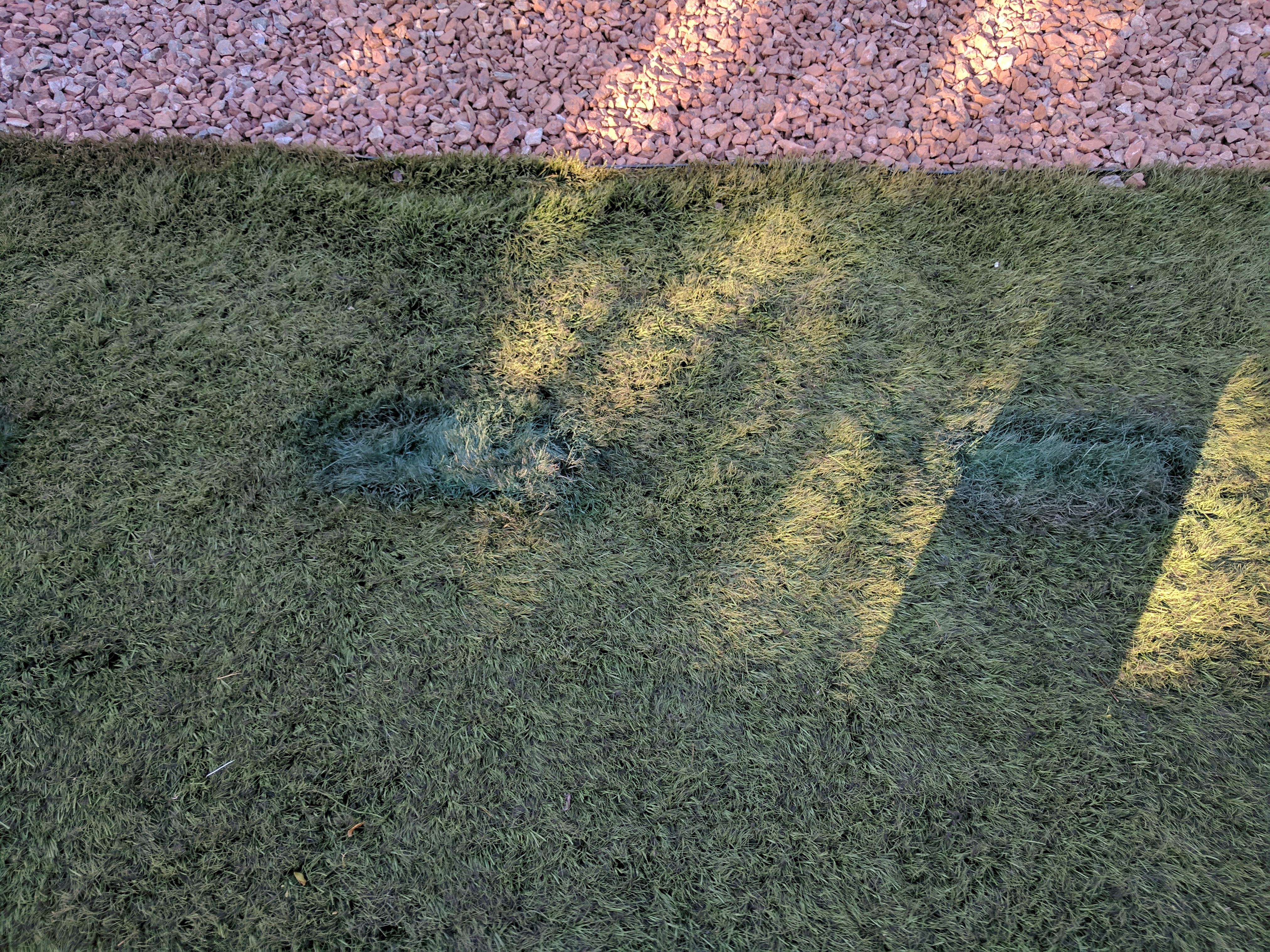 Terrible grass job 