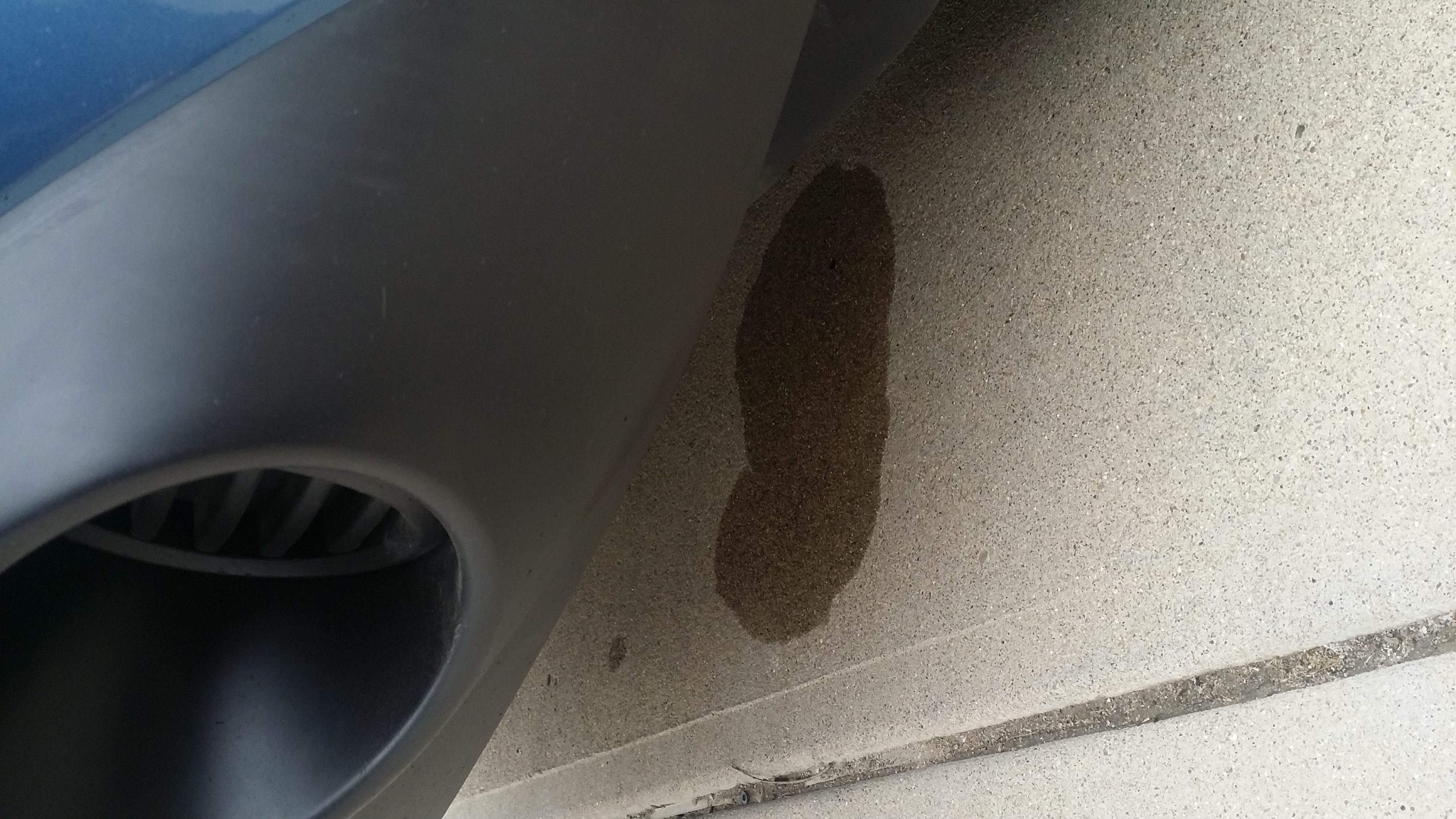 First day home antifreeze leaking on driveway