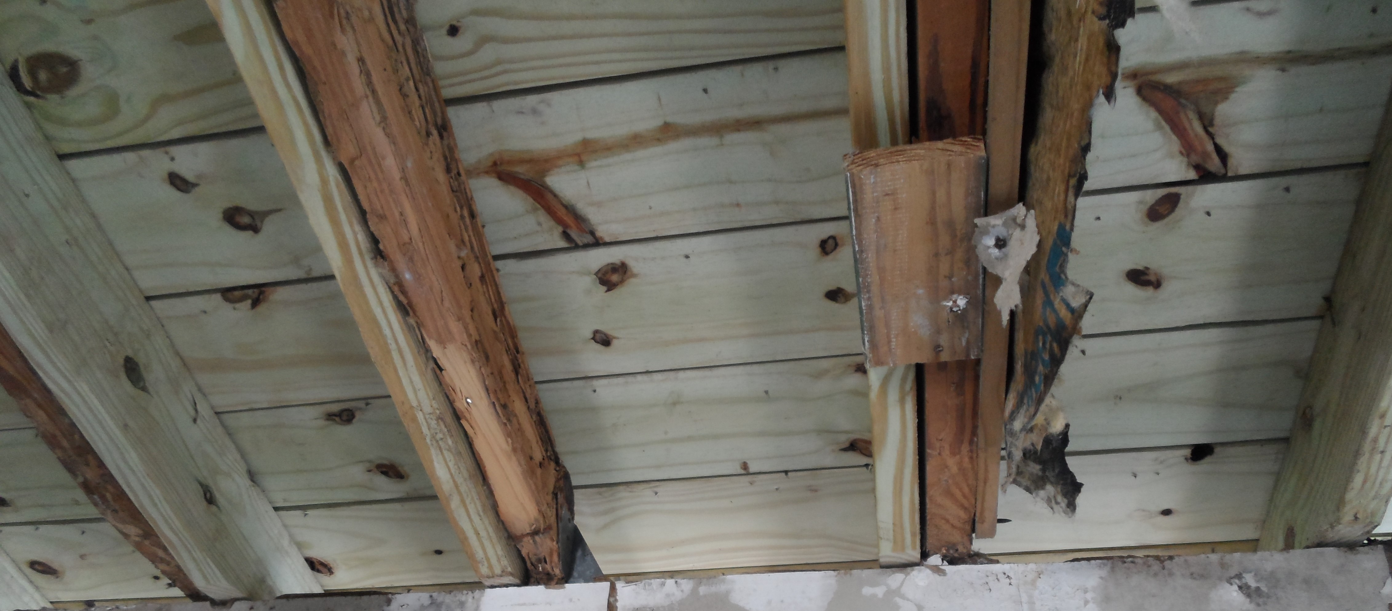 rotten rafters under new shingles