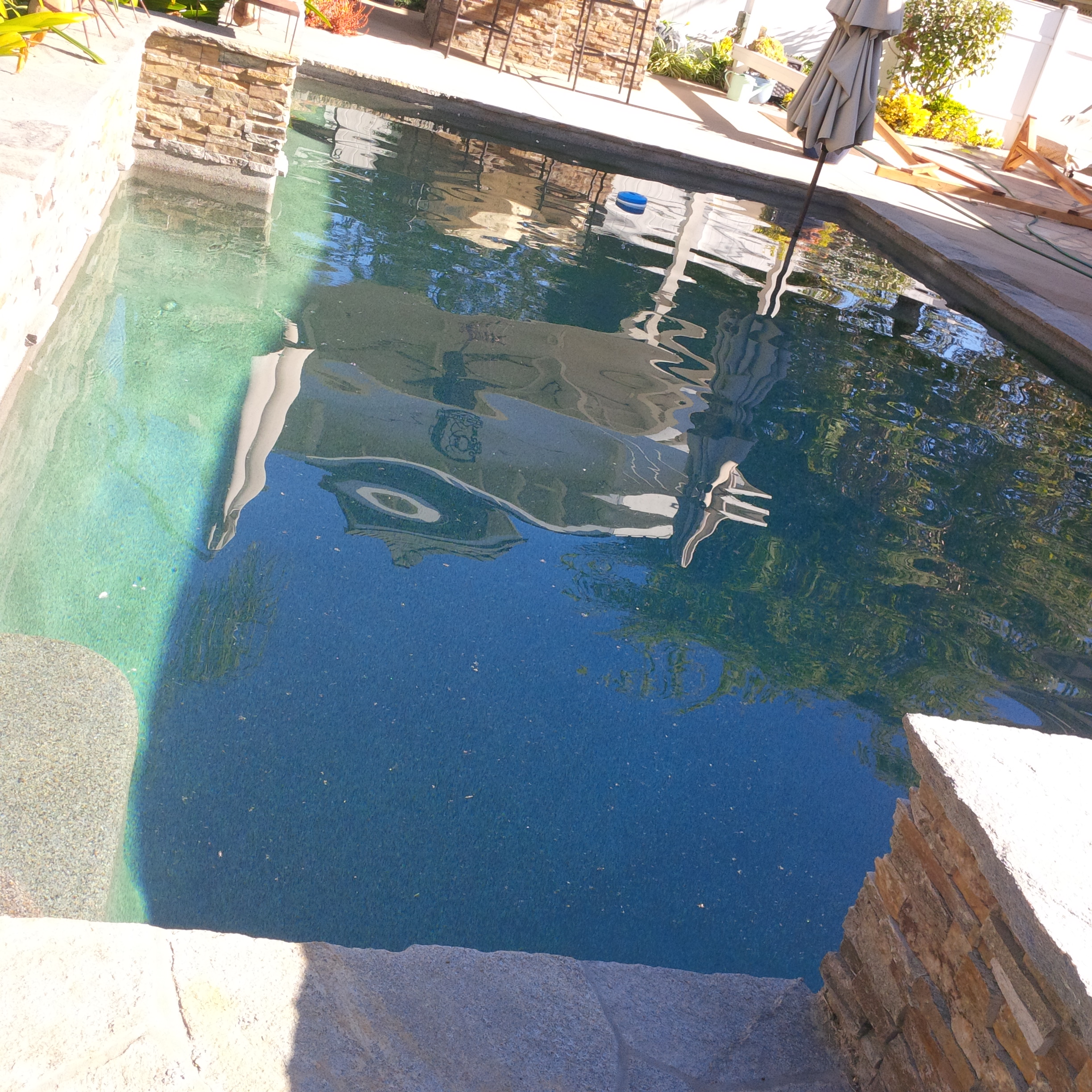Martha Charrettes "green" pool