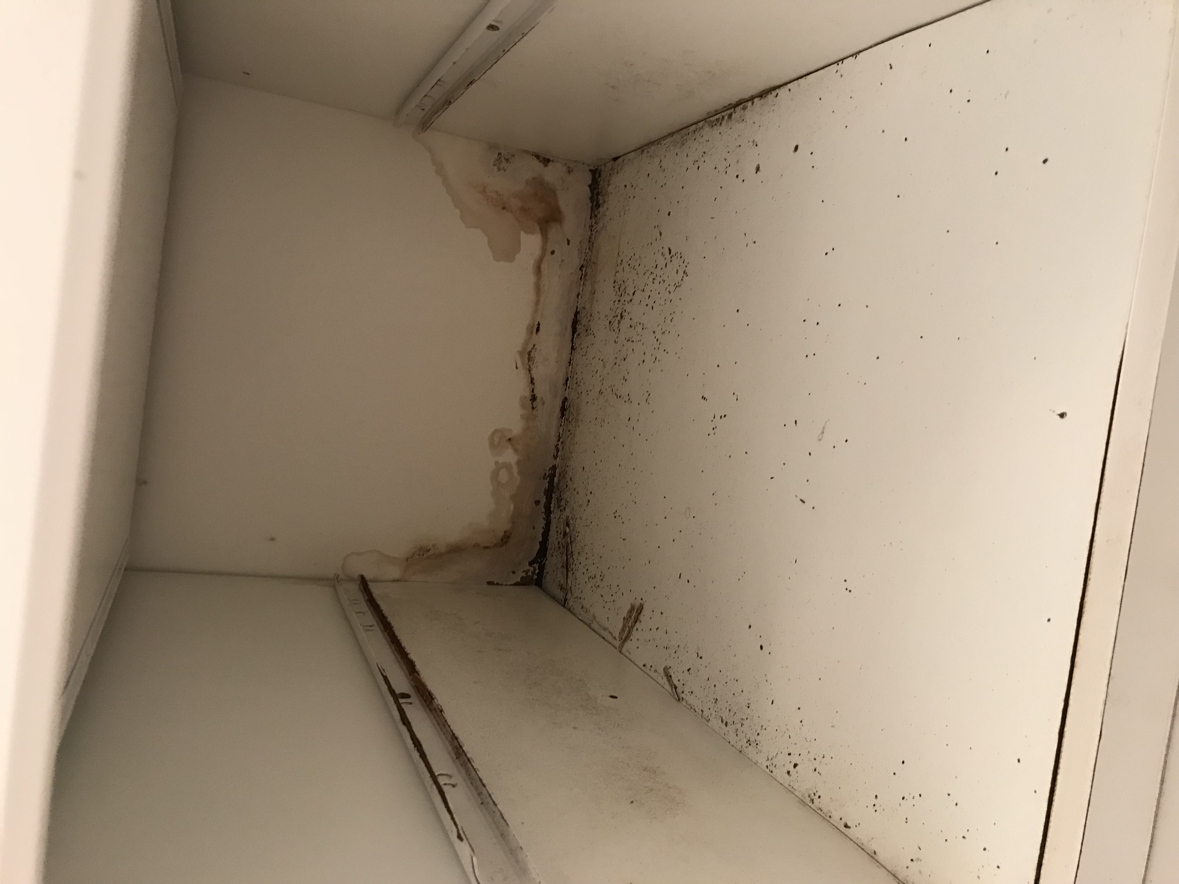 Mold in bathroom