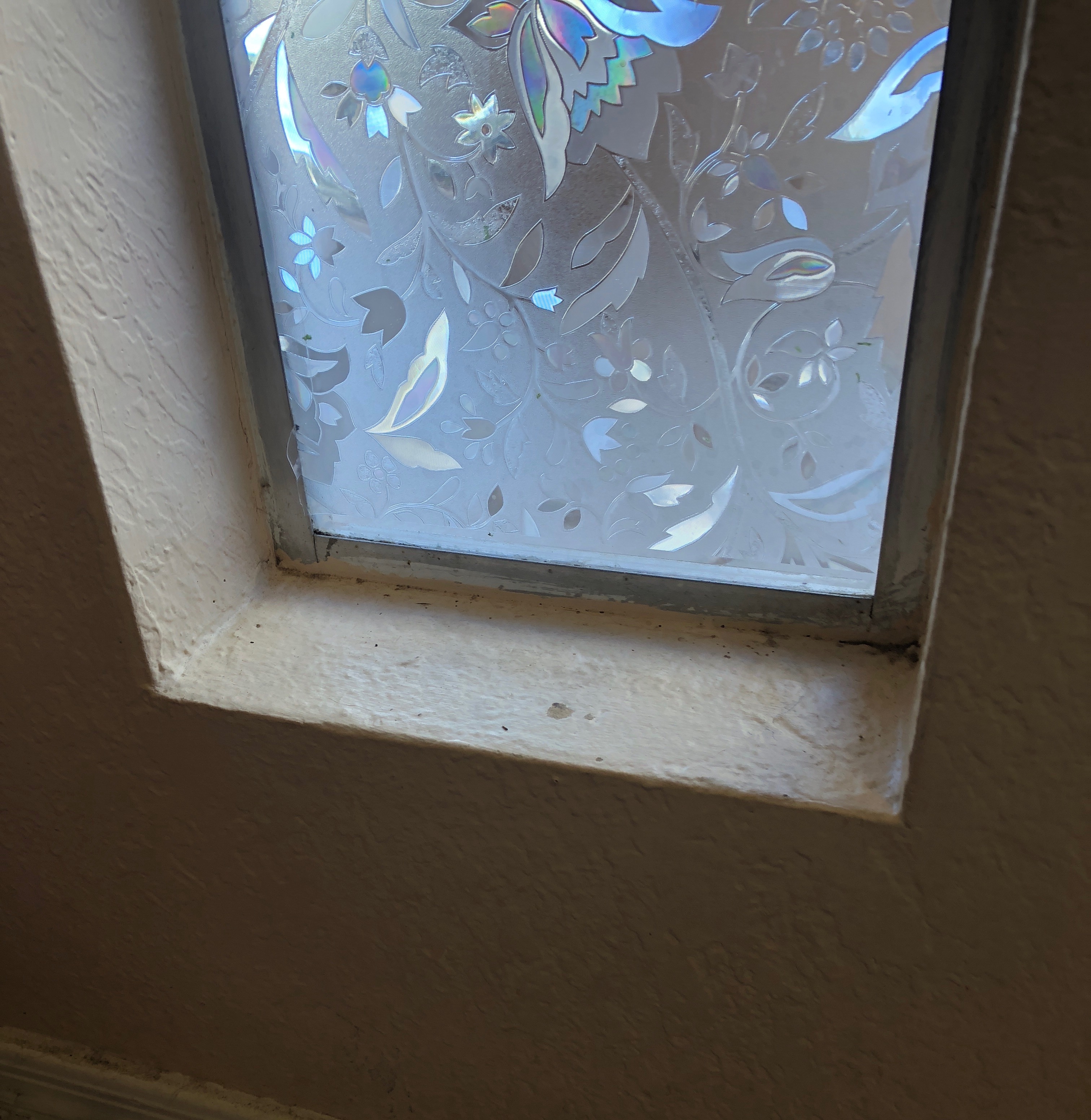 Entry door window after $400 cleaning