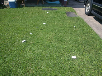 Contractor threw business cards in the yard