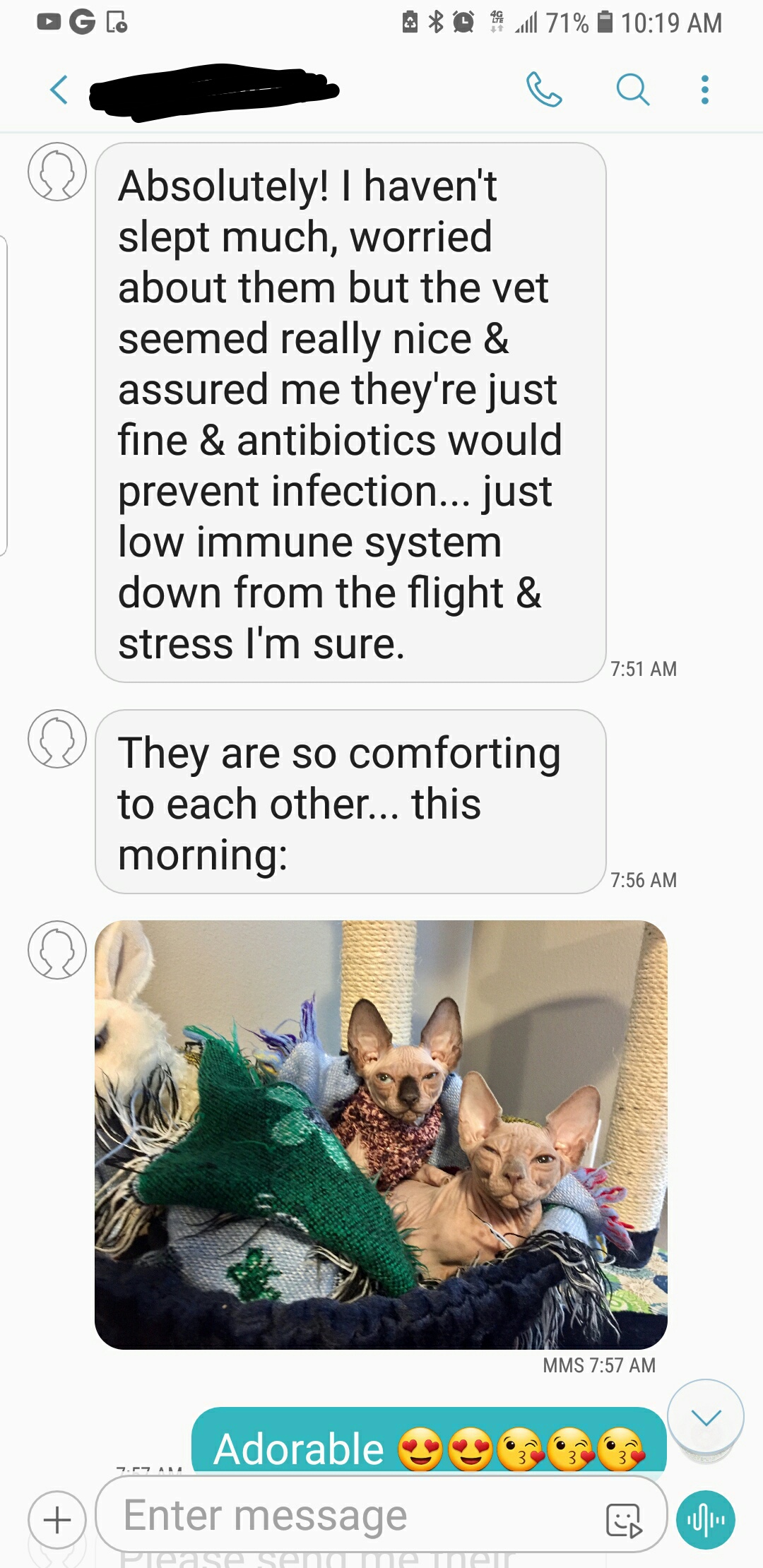 Vet stated only stress related cold