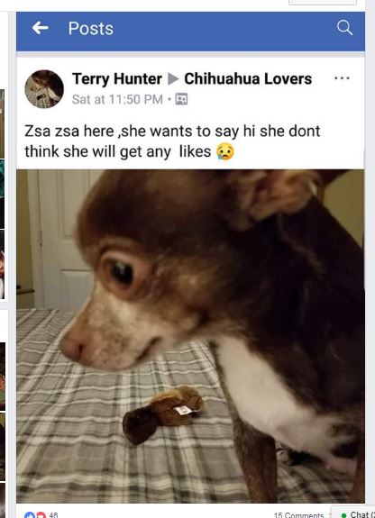 Terry Hunter Drams Queen seeks attention