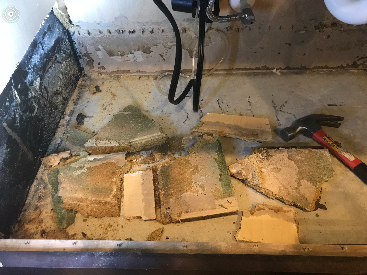 Mold under sink from leaking water filter system