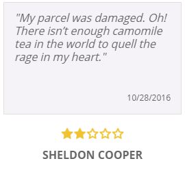 A customer review from Sheldon Cooper on the site