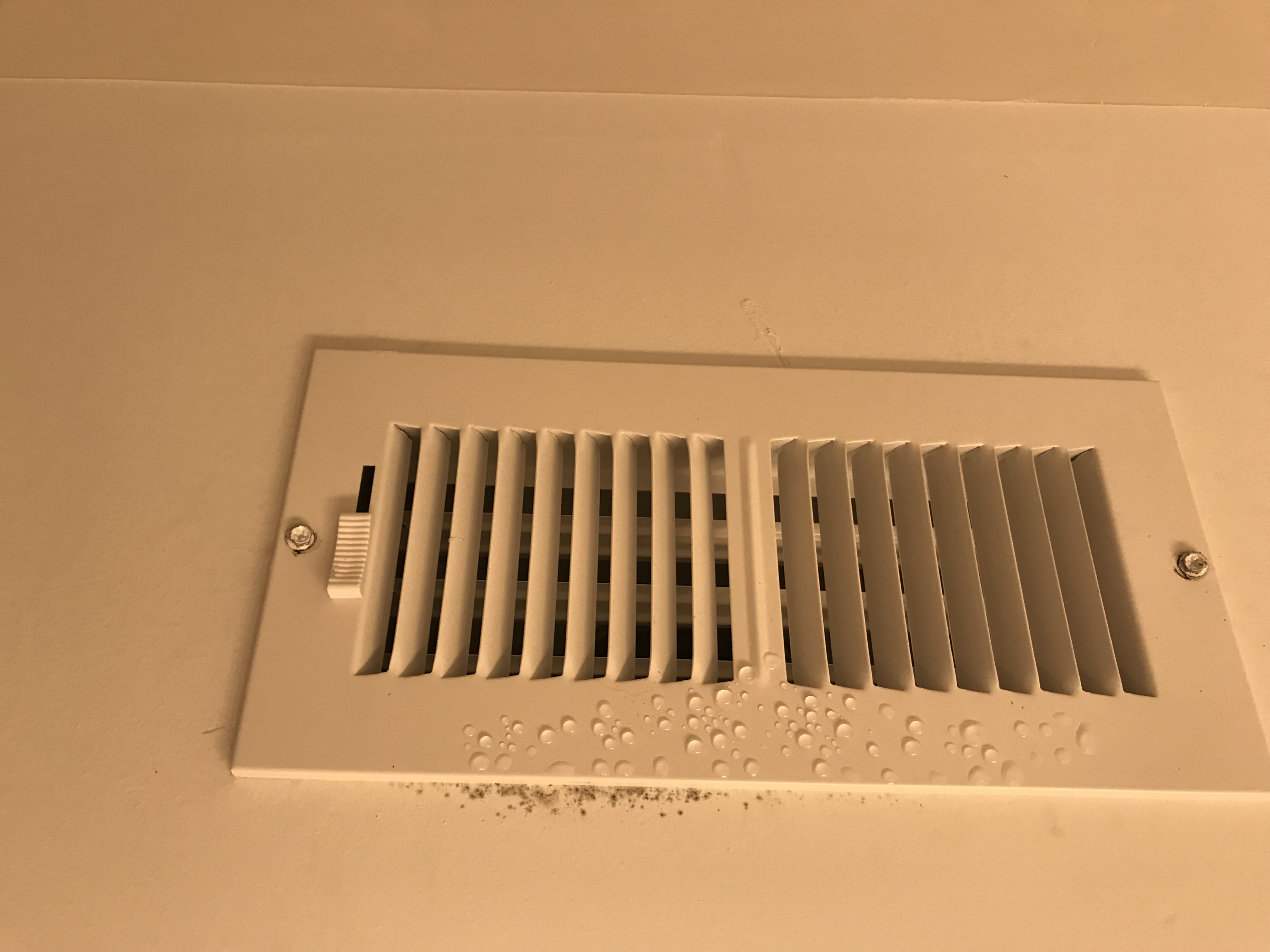 Bathroom vent ceiling Aug 2018