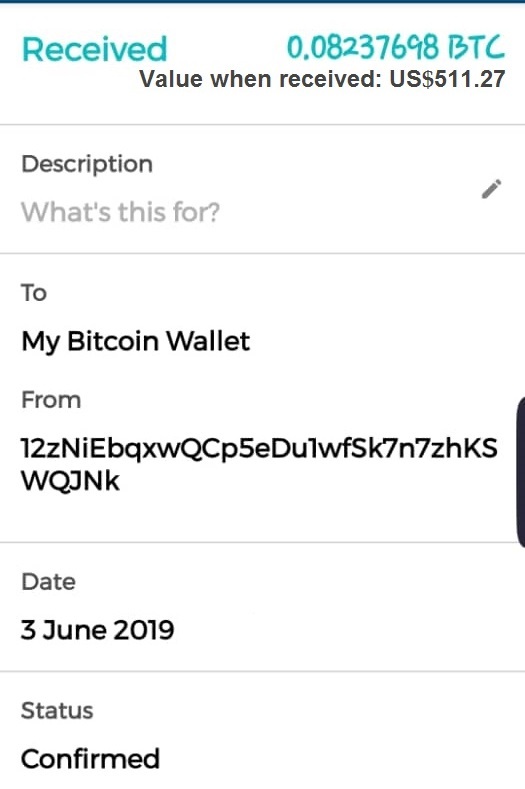 Fake Bitcoin Receipt