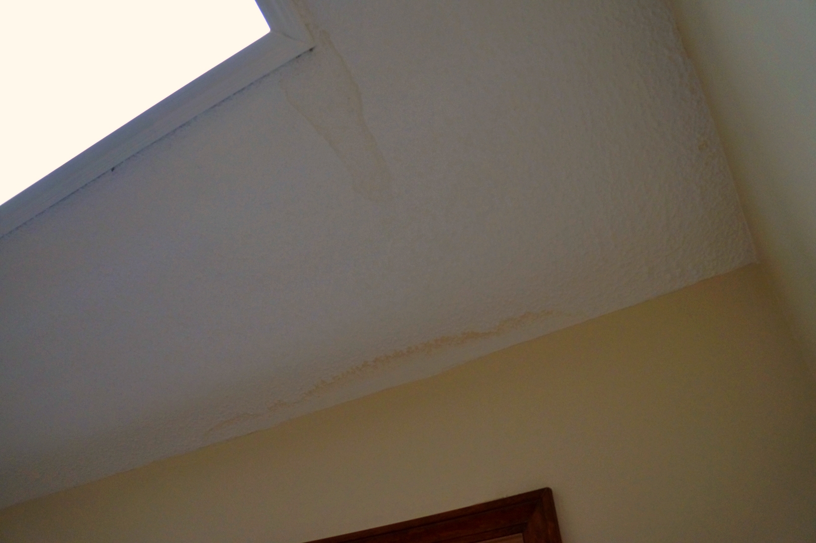 Bathroom skylight Leak