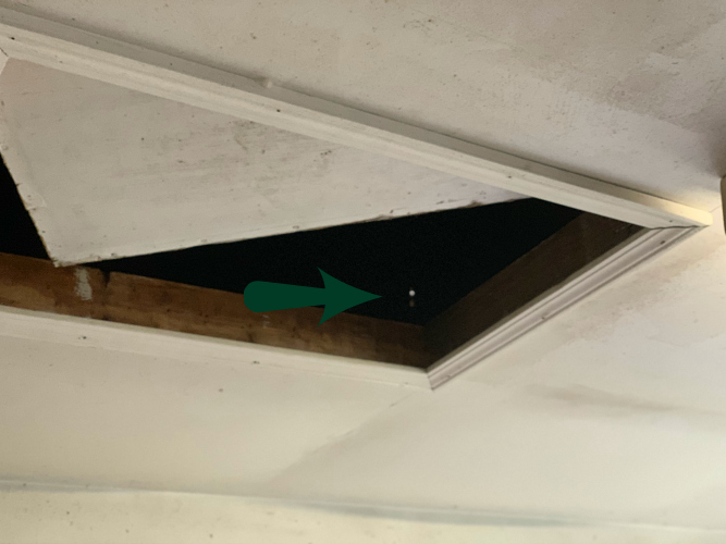 Notice that white spot? Roof leak site?