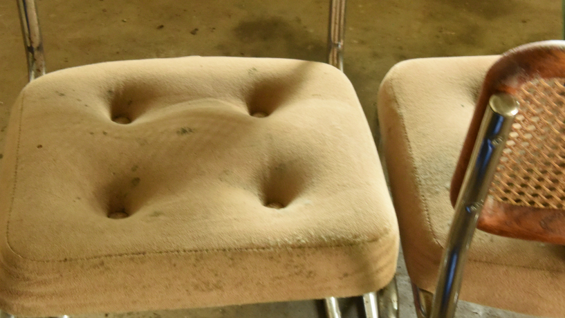 Ruined Dining Chairs in Moldy Garage