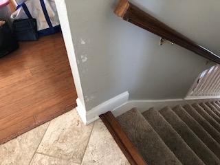 PAINT CONDITION OF "FRESHLY PAINTED HOUSE"