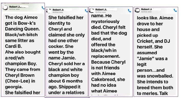 Messages from the 'friend' that Aimee bragged to 