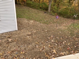 No grass seed right side of shed