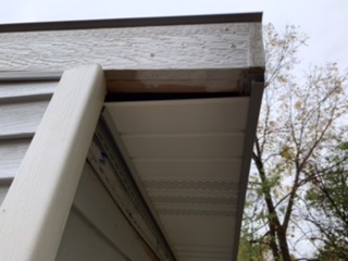 Loose soffit backside of shed