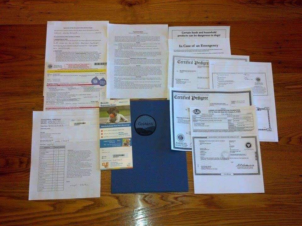 The documents for puppy