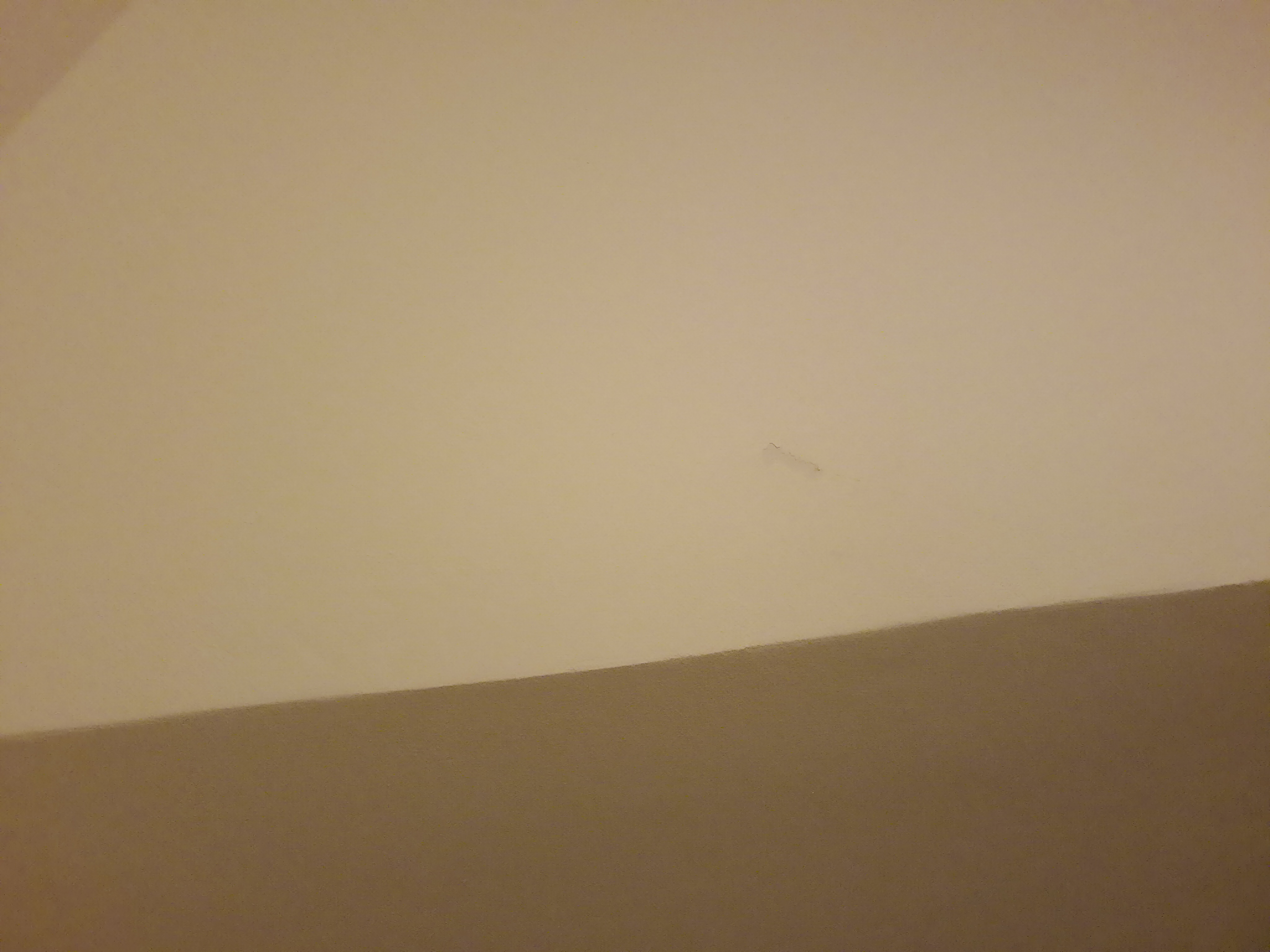 Peeling paint on ceiling in bedroom