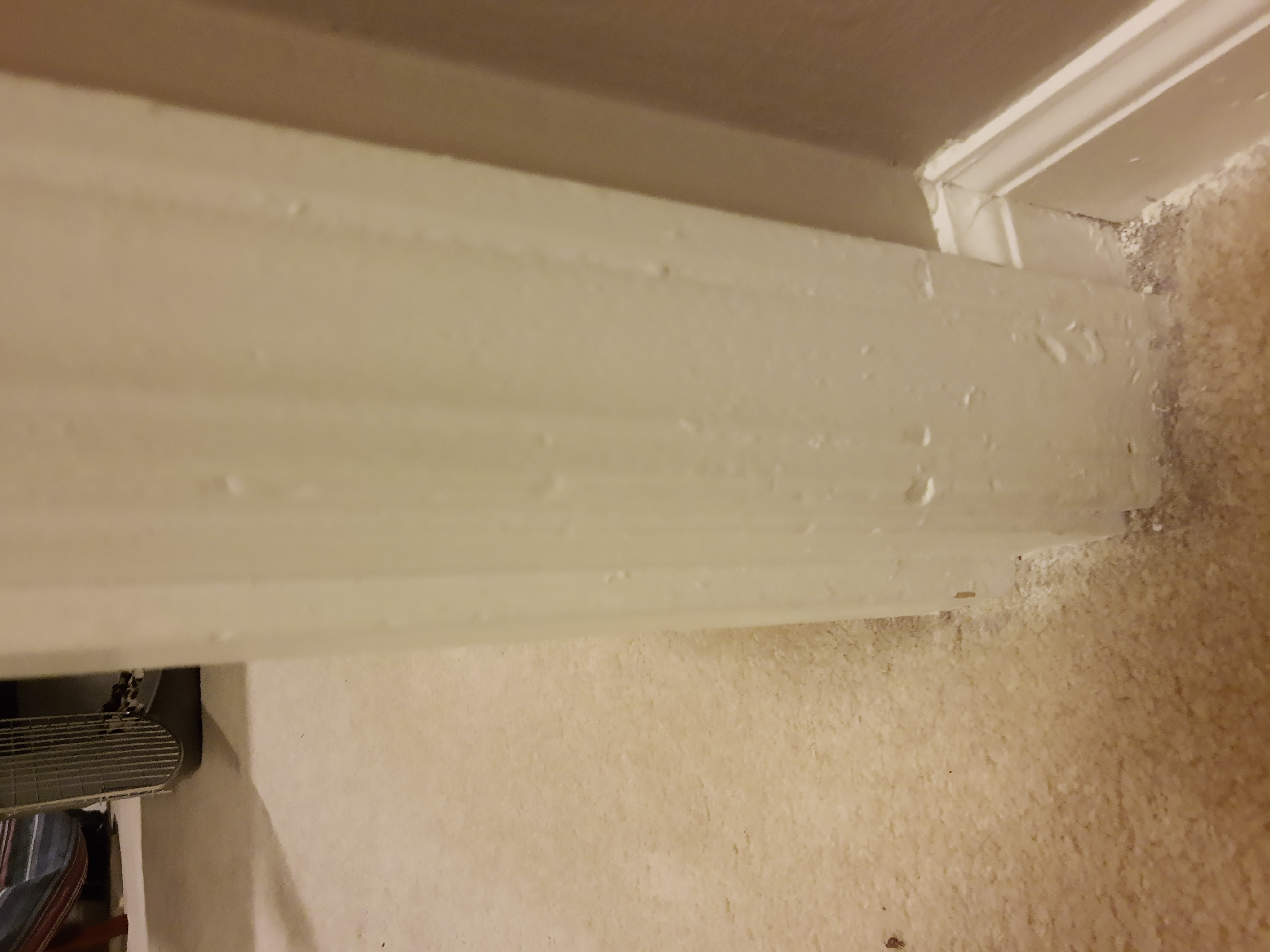 Example of poorly painted trim