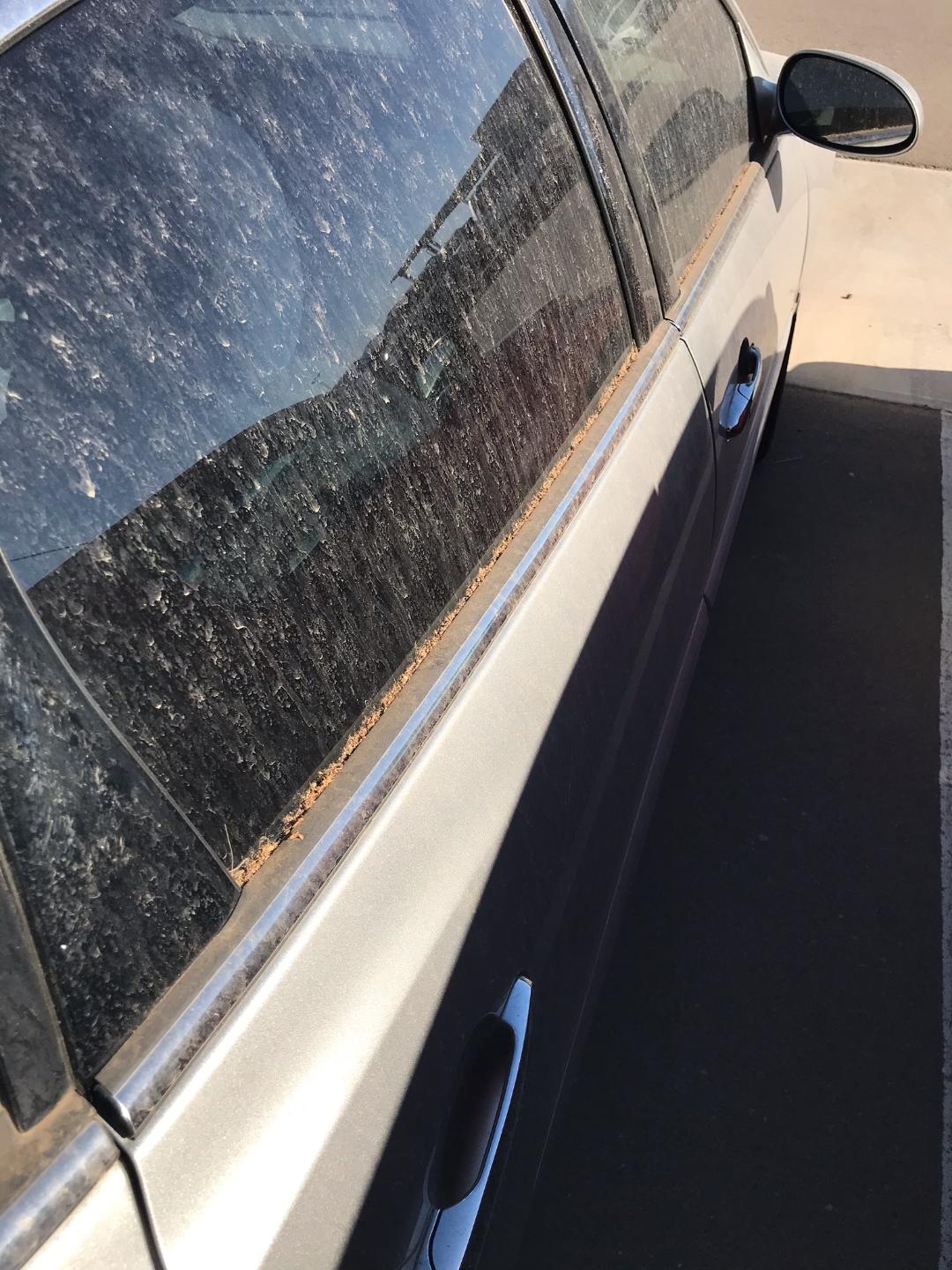 Entire vehicle filthy in dealer yard