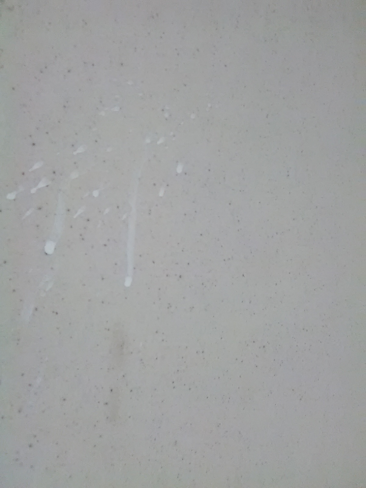 Paint In Shower