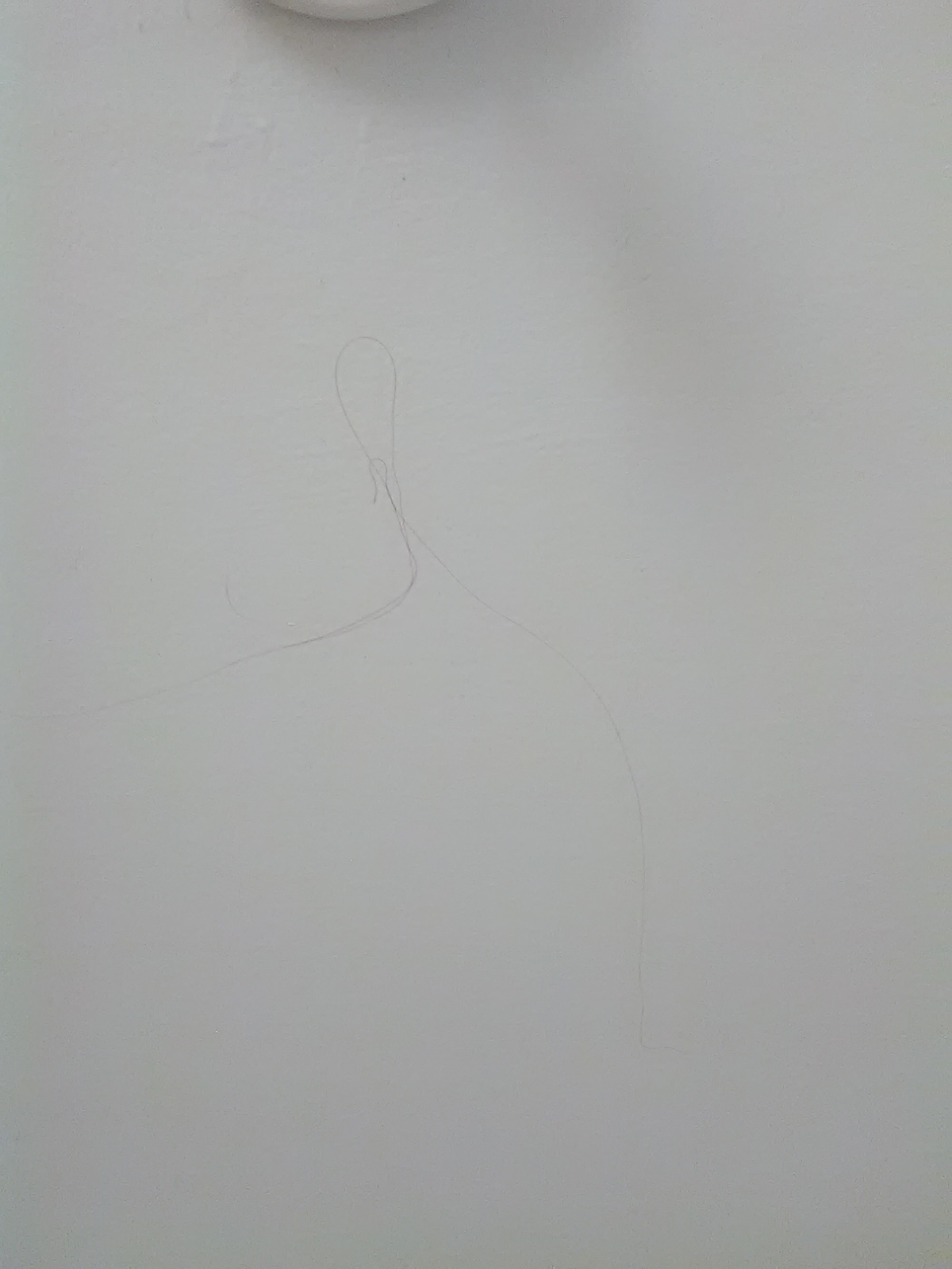 Hair on bathroom ceiling