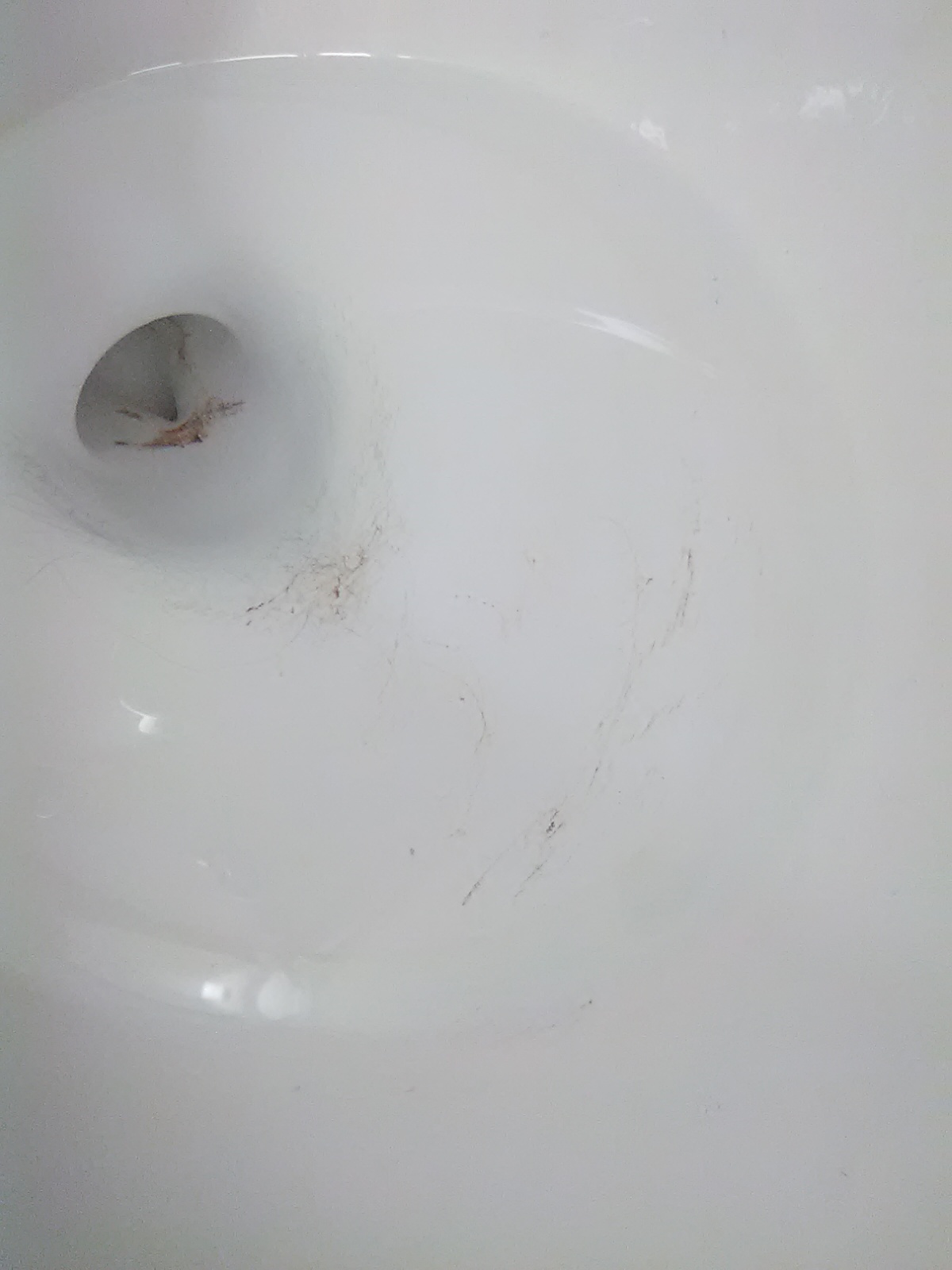 Toilet Damage
