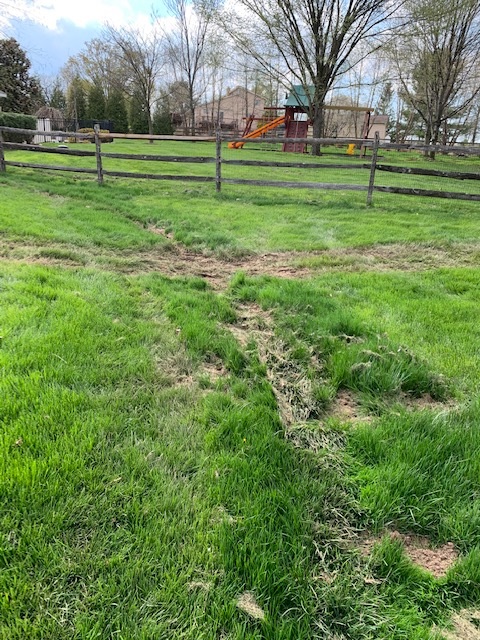 Damaged lawn