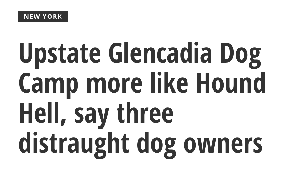 Glencadia Dog Abuse