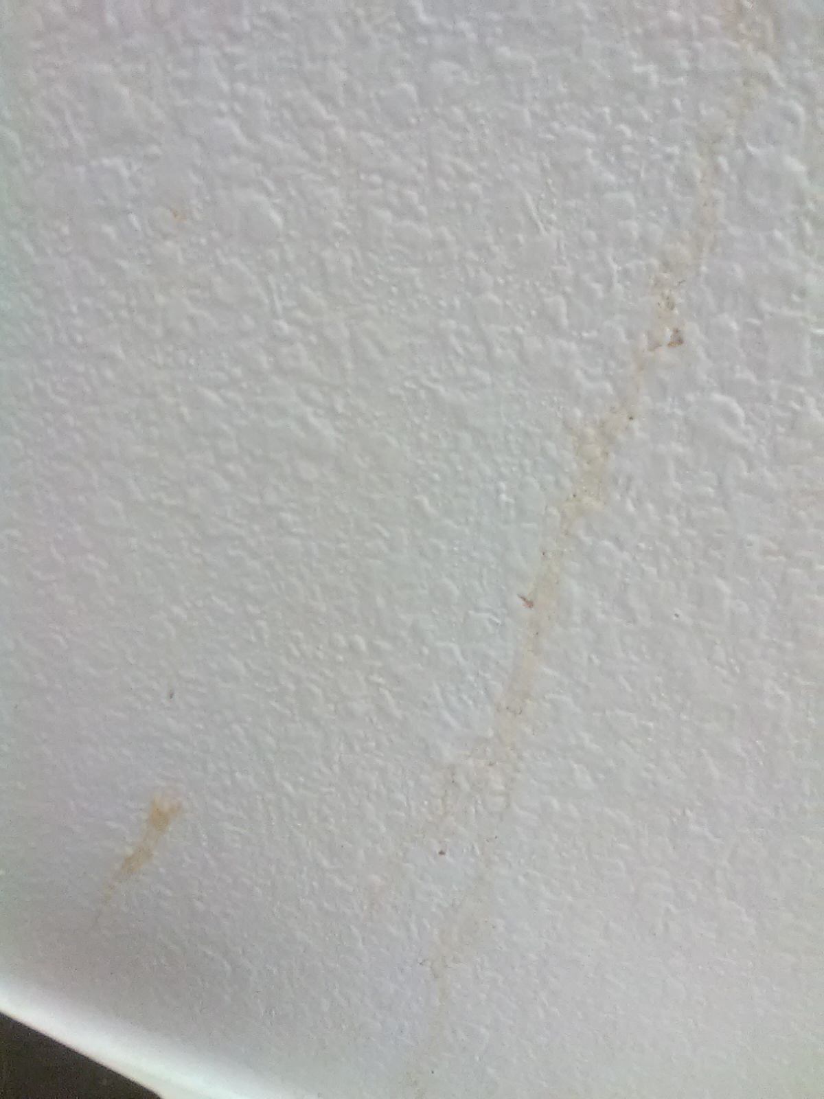Slime On Wall
