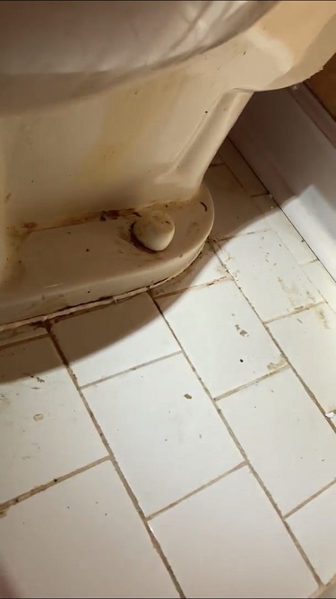 Fecal matter left by homeowner