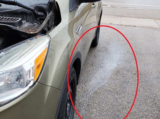 Oil leaking on driveway