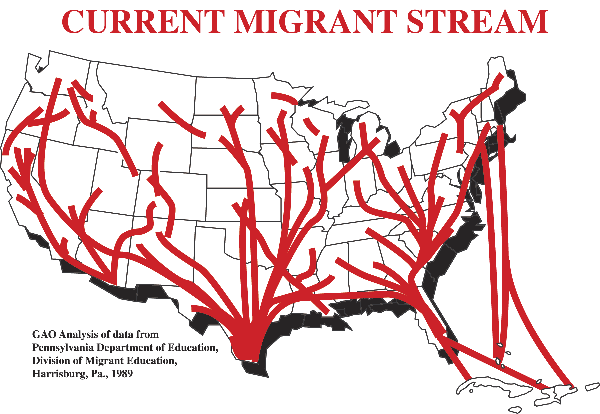 Allways Clean hires illegal immigrants