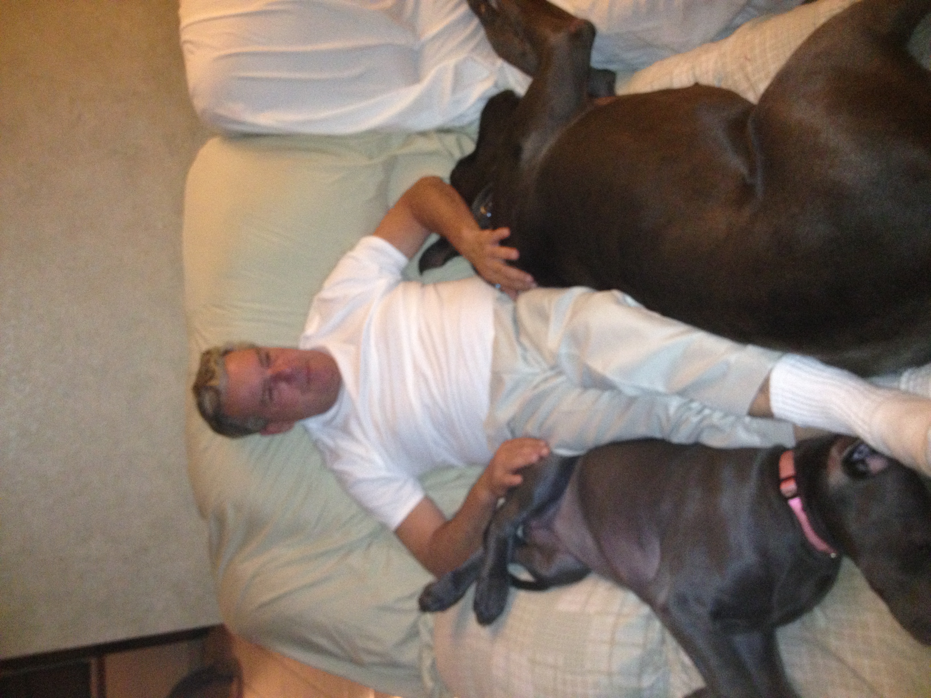 Daddy and His Babies Zeus and Raine.  It doesn't get better than this:)